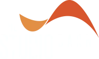 Logo the studio barn light